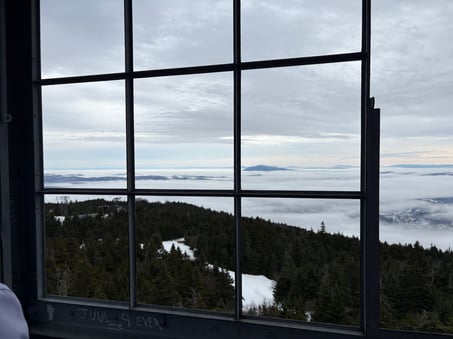 Fire Tower View