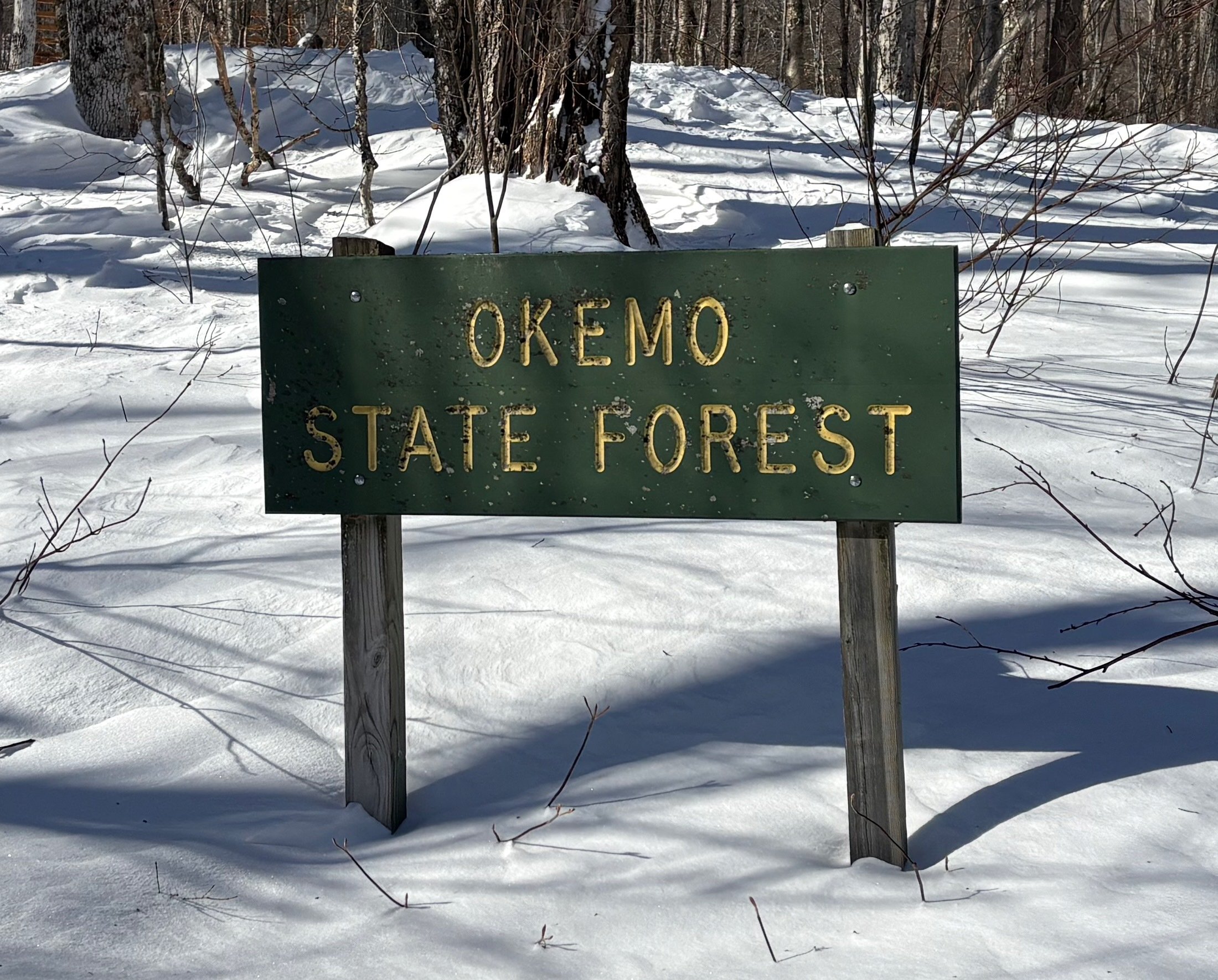 Okemo State Forest