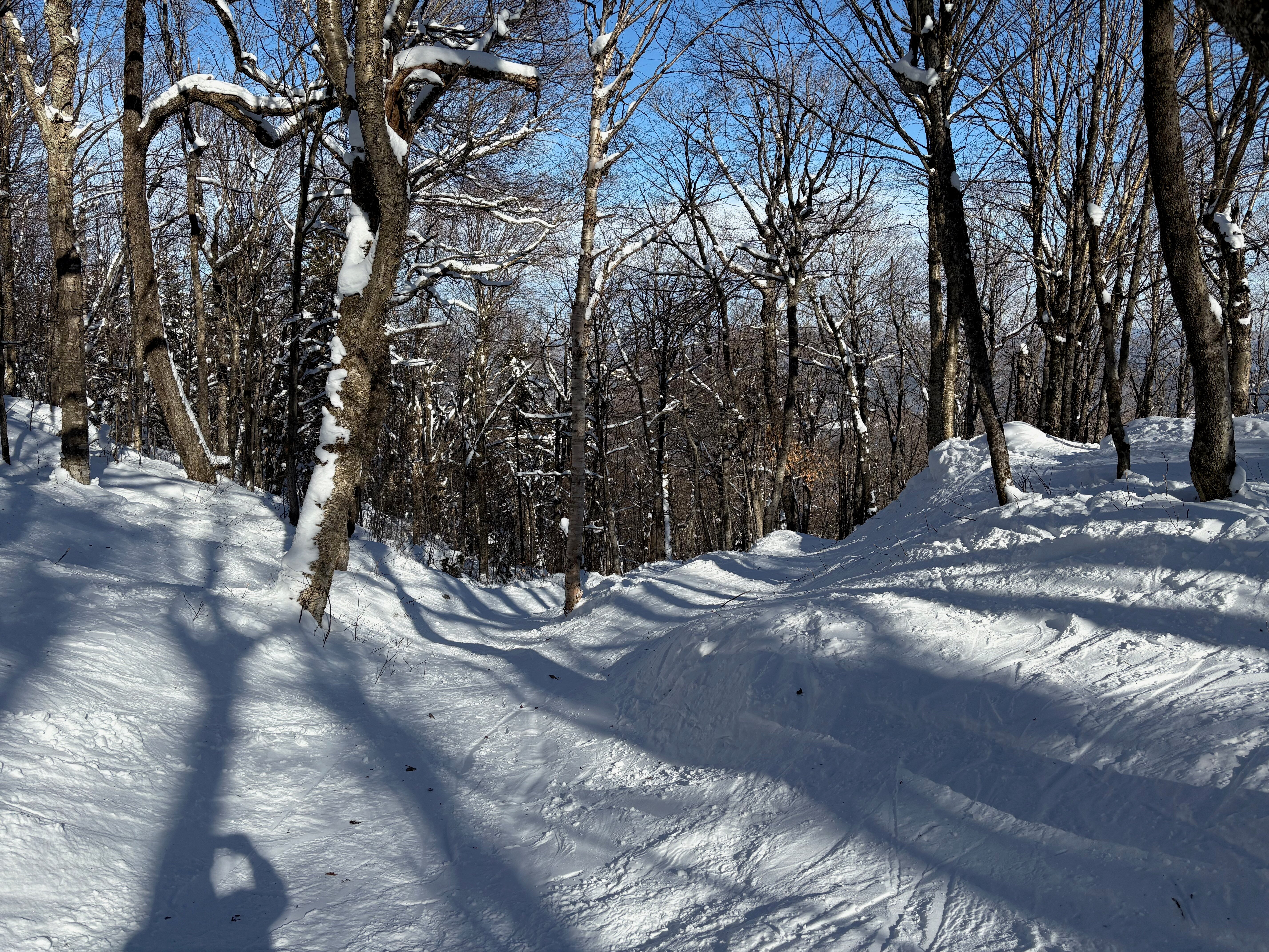 Black Hole - Trail of the Day
