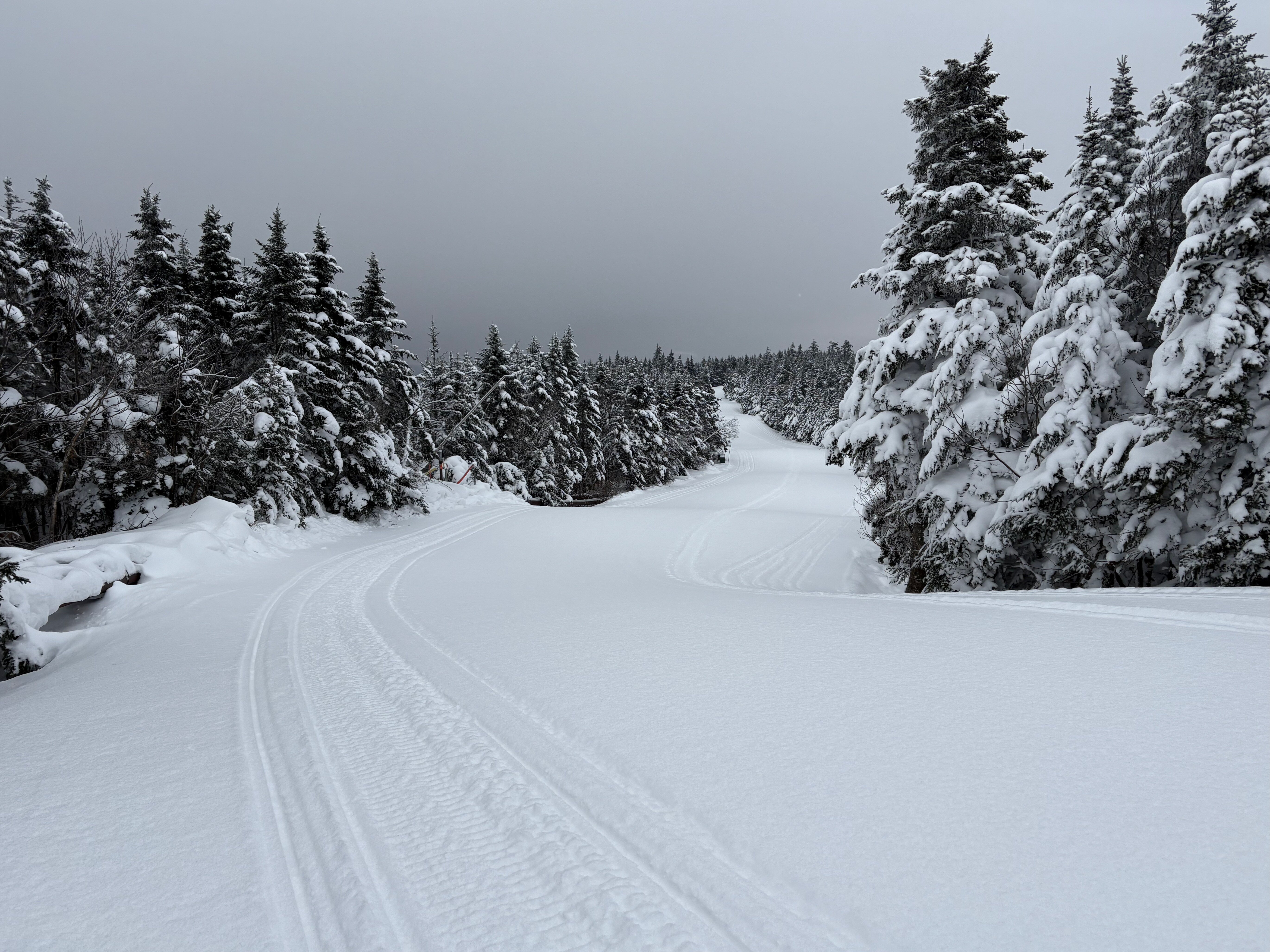Buckhorn - Trail of the Day