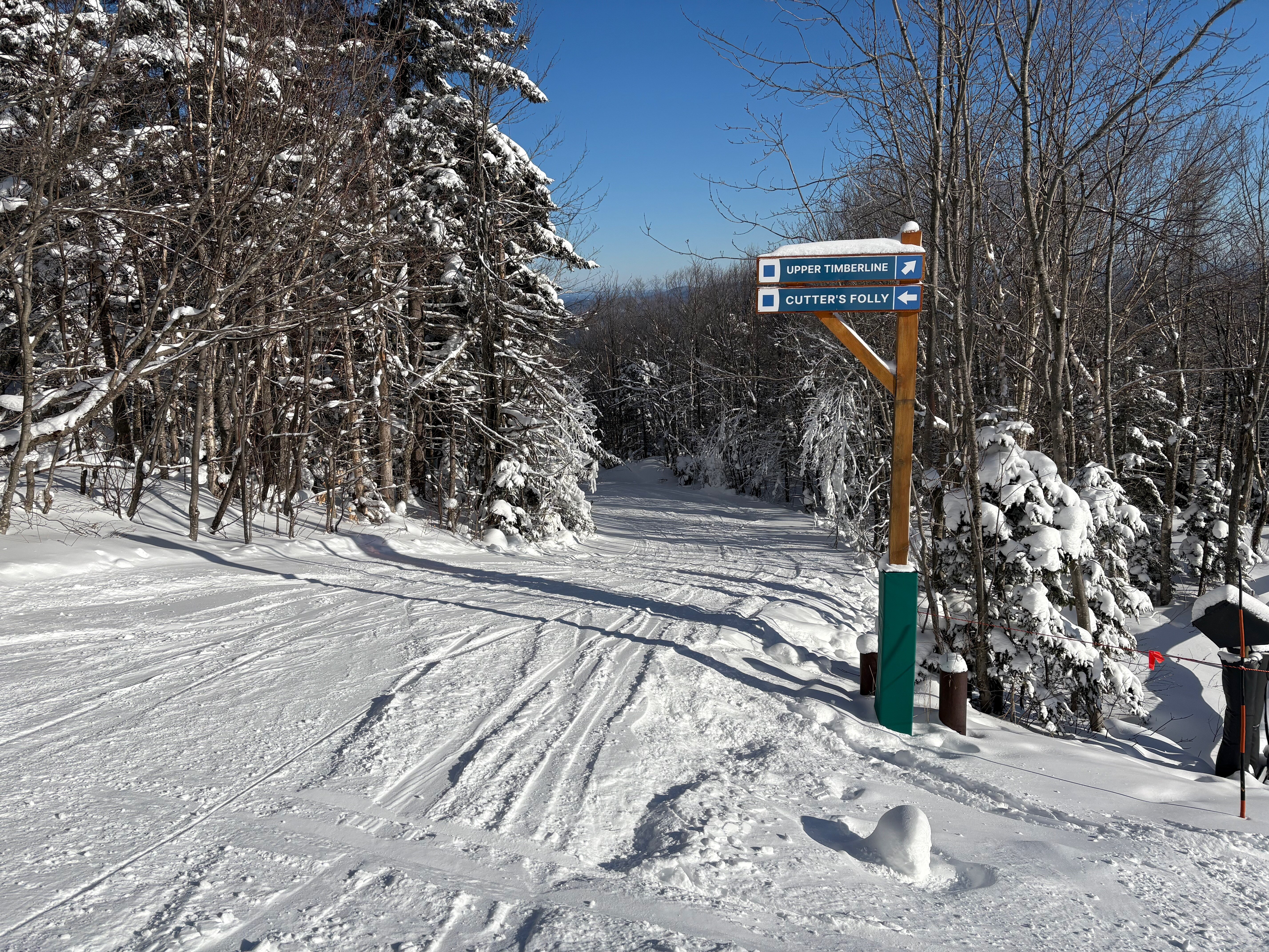 Cutter's Folly - Trail of the Day