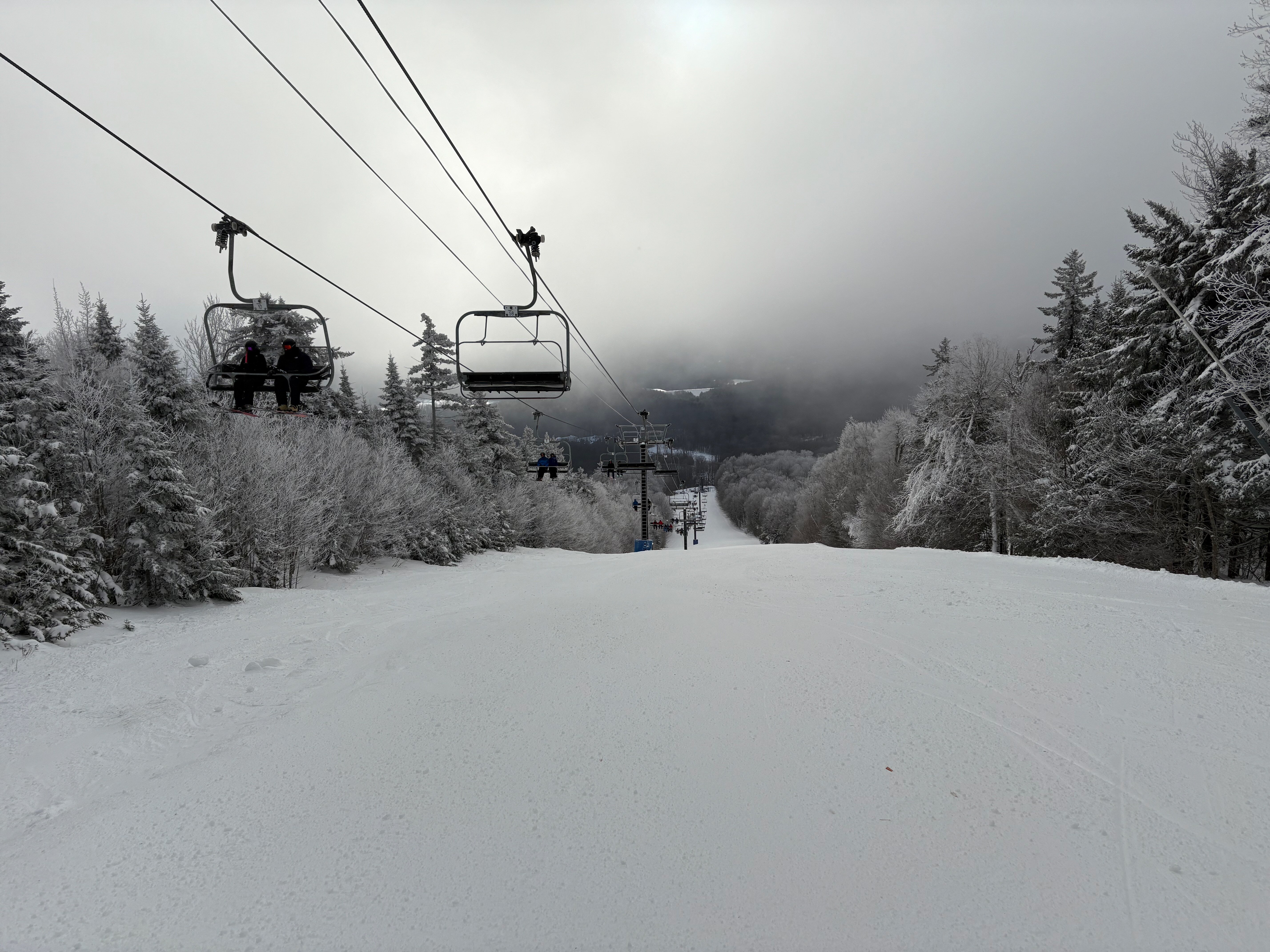 Lower Wild Thing - Trail of the Day