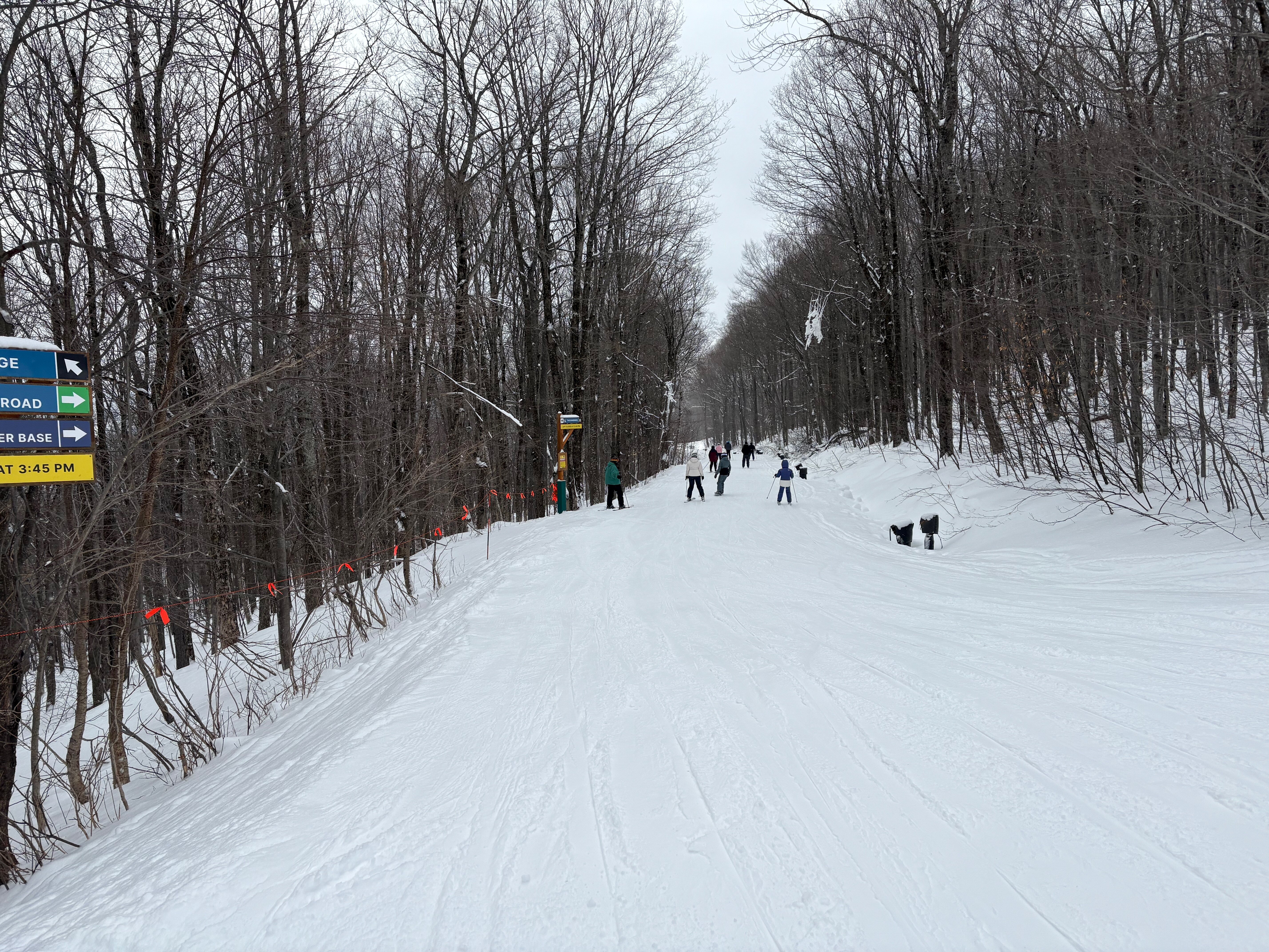 Mountain Road - Trail of the Day