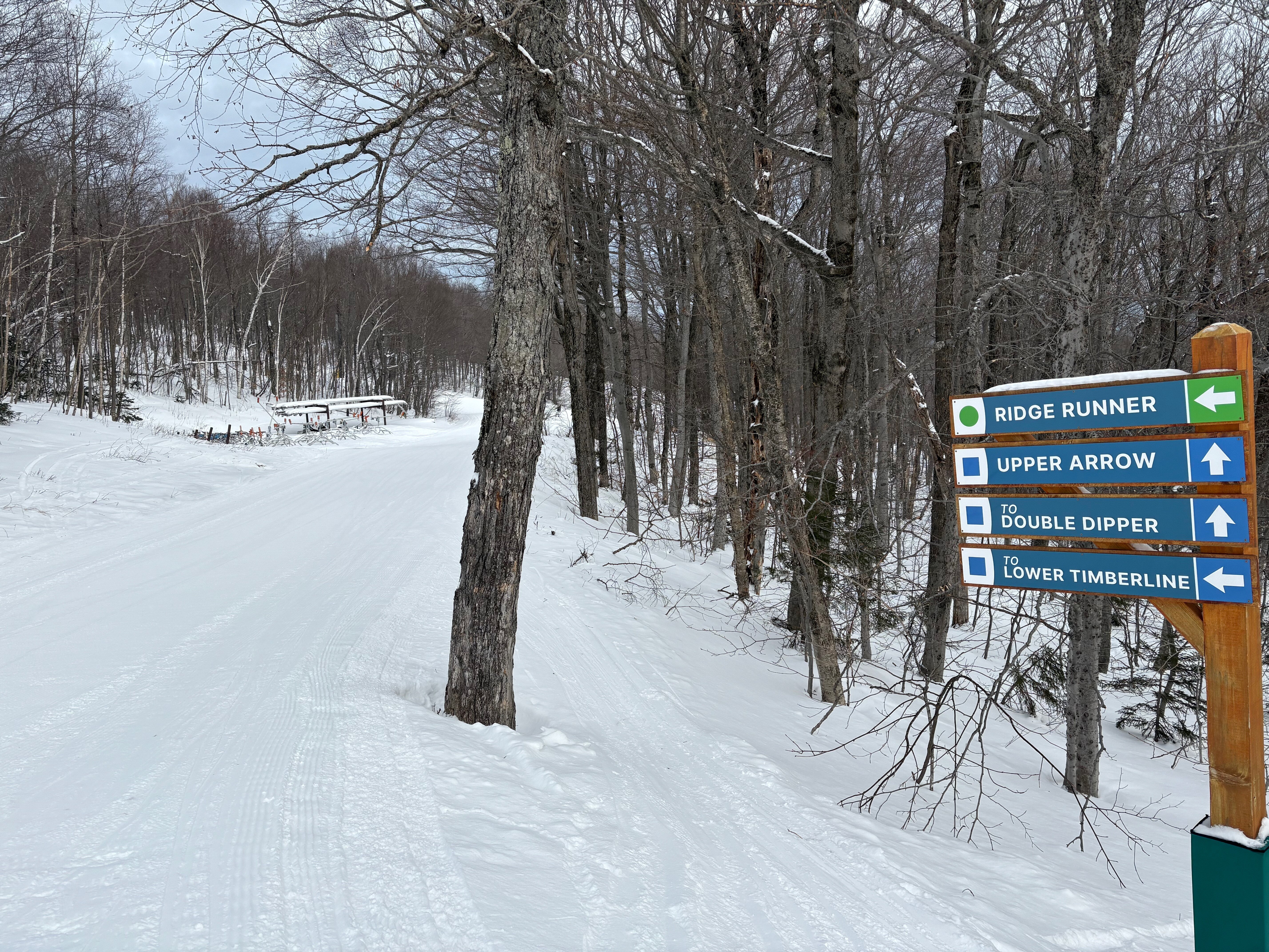 Ridge Runner - Trail of the Day