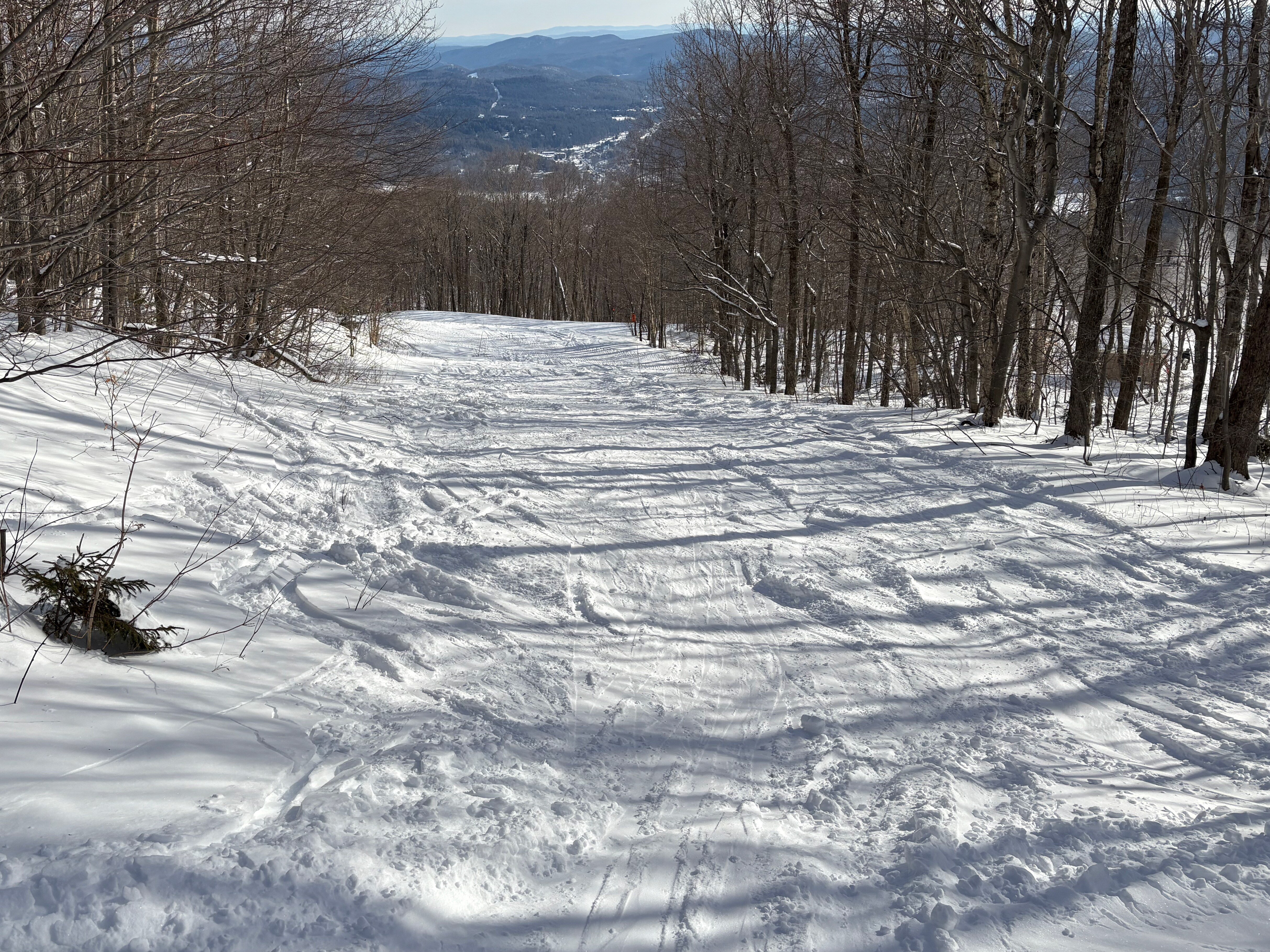 Scooter - Trail of the Day