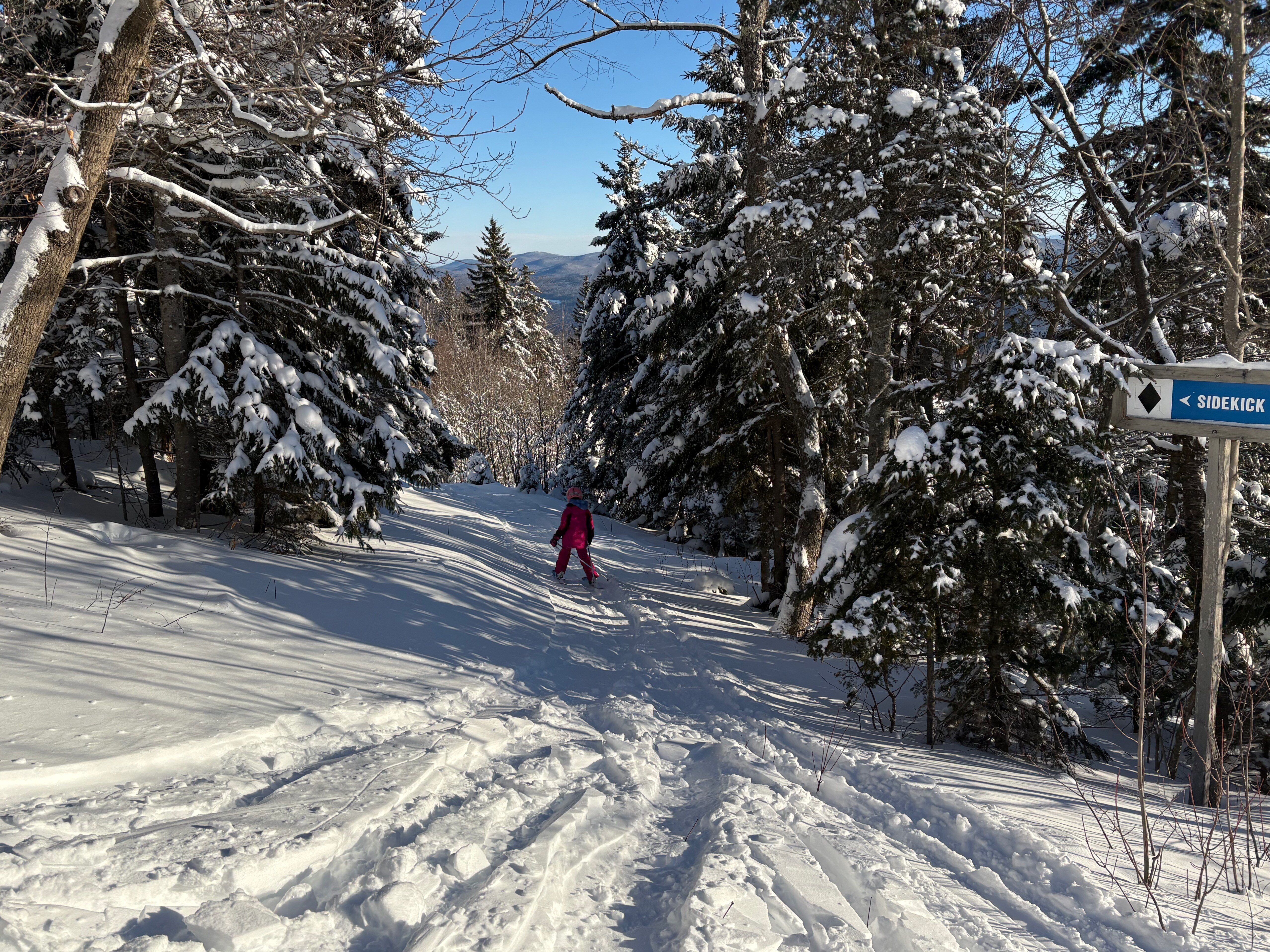Side Kick - Trail of the Day