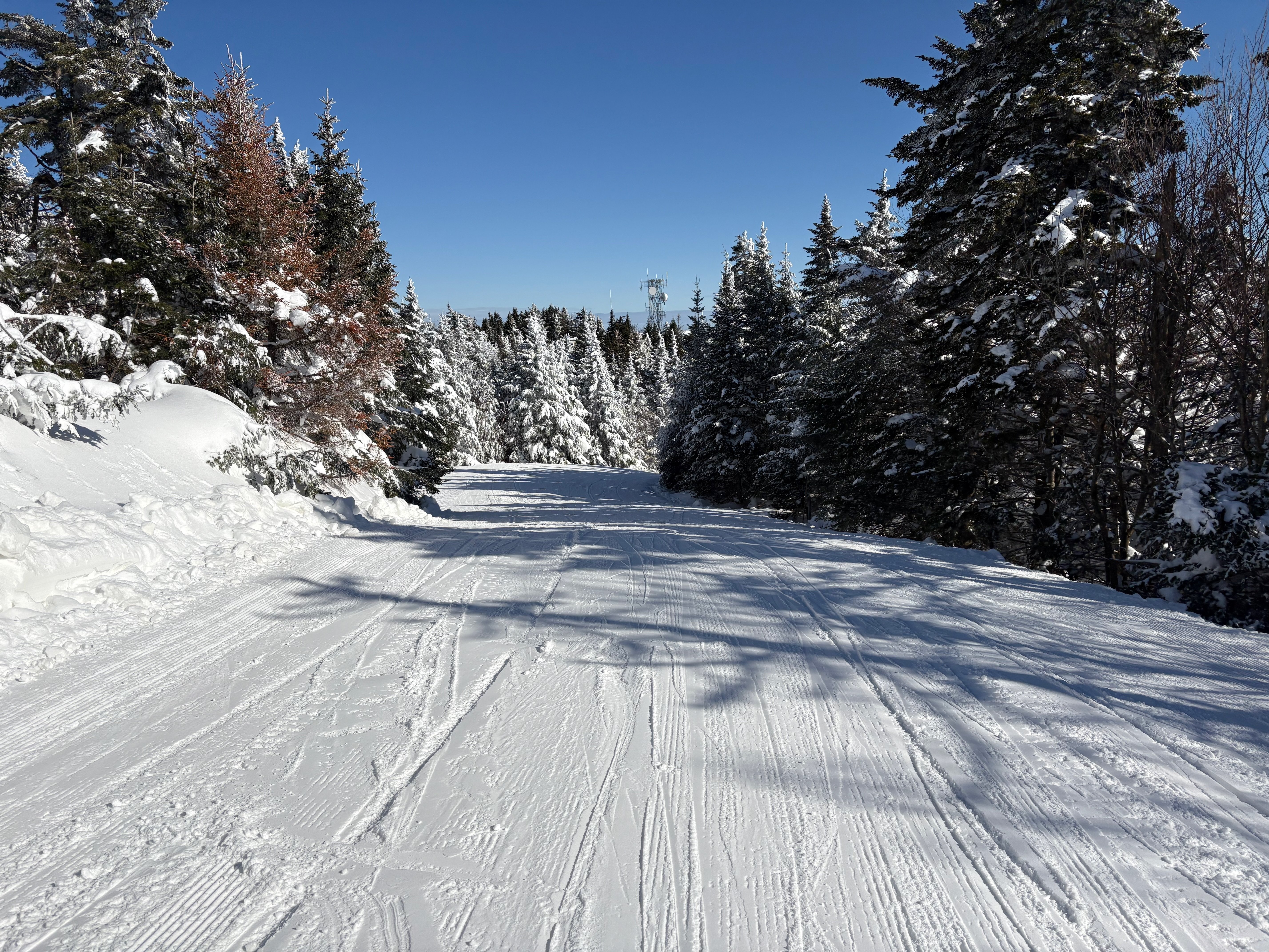 Sun Dog - Trail of the Day