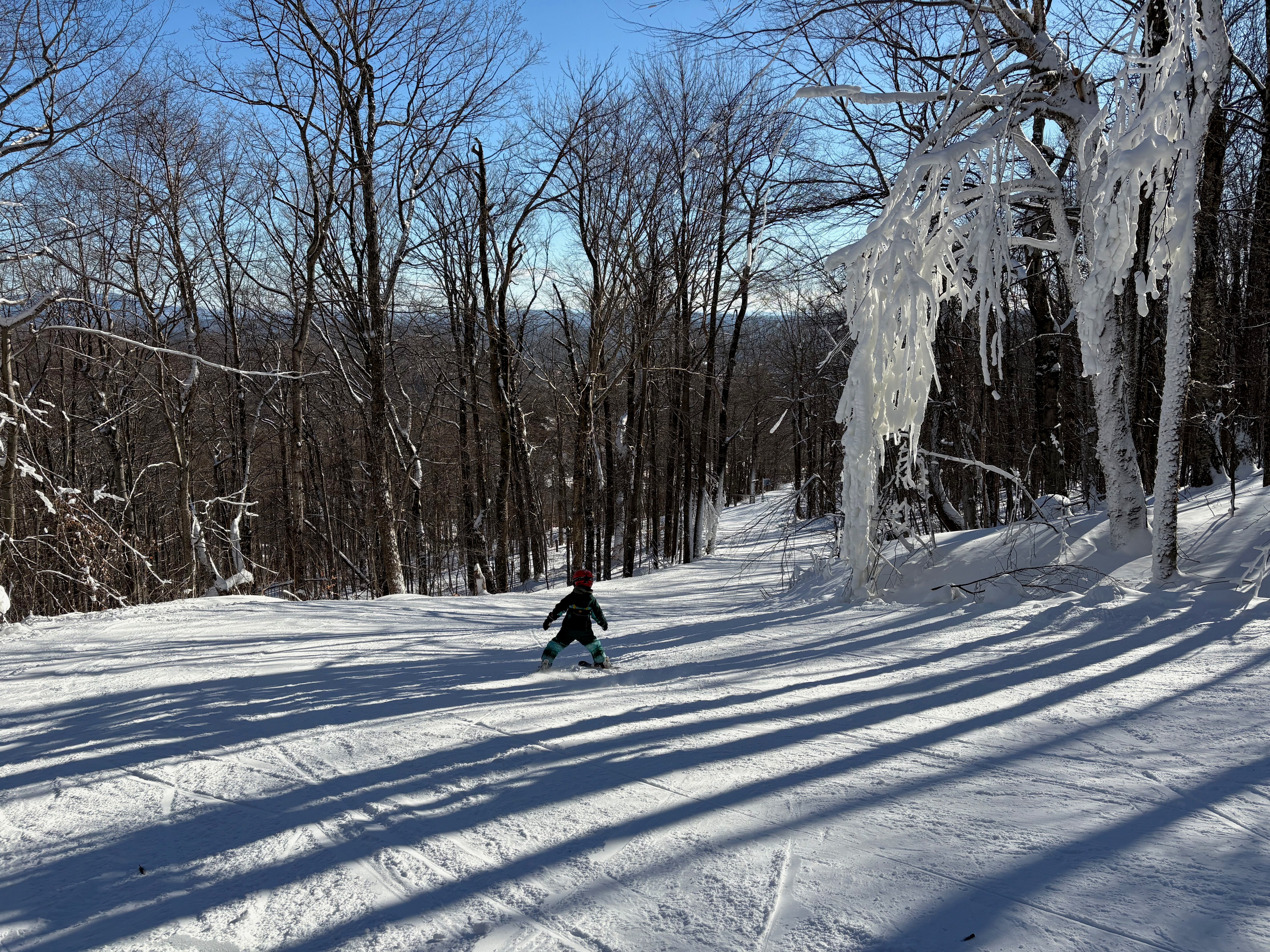 Switchback - Trail of the Day