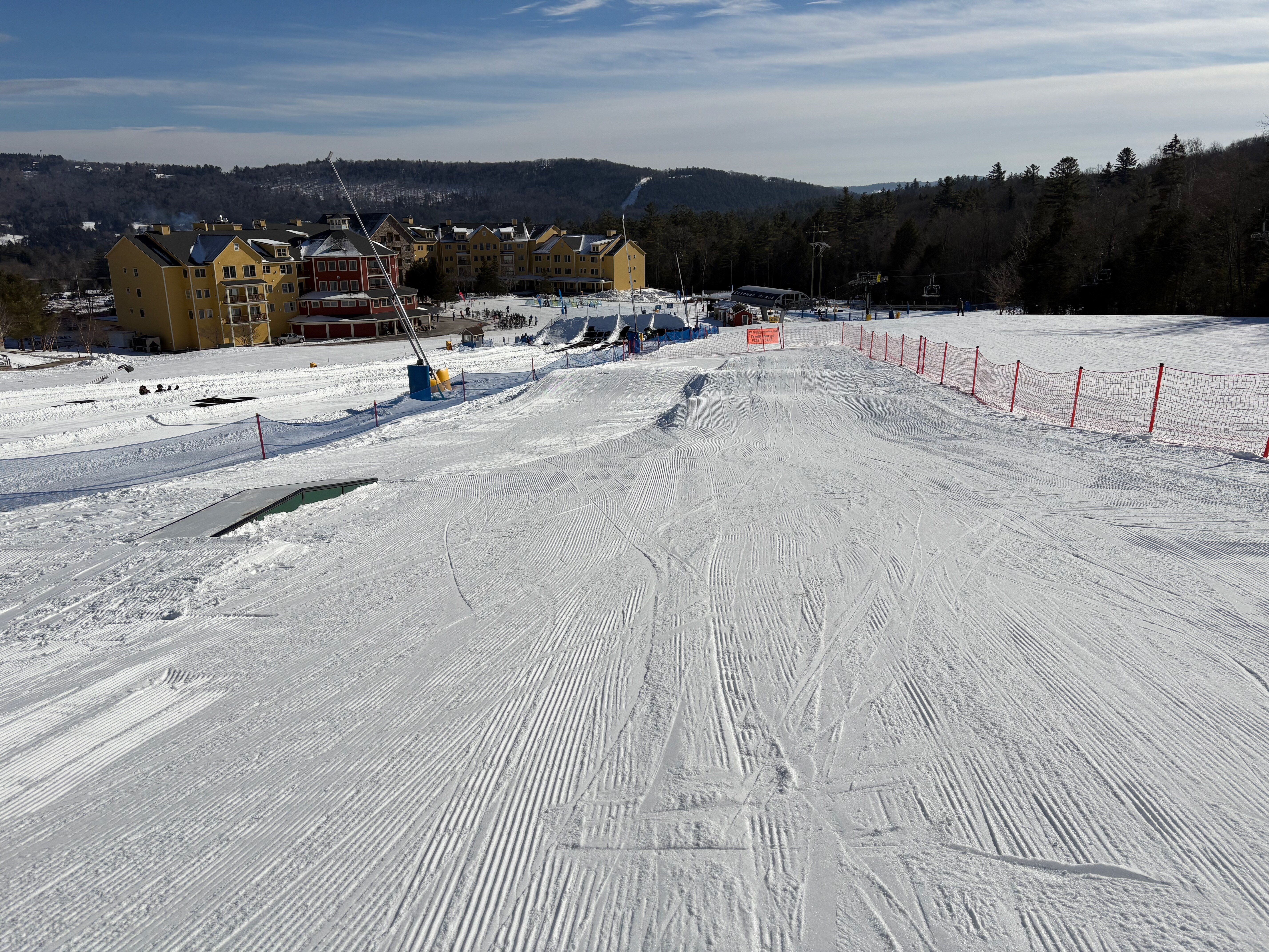 Tree Tap - Trail of the Day