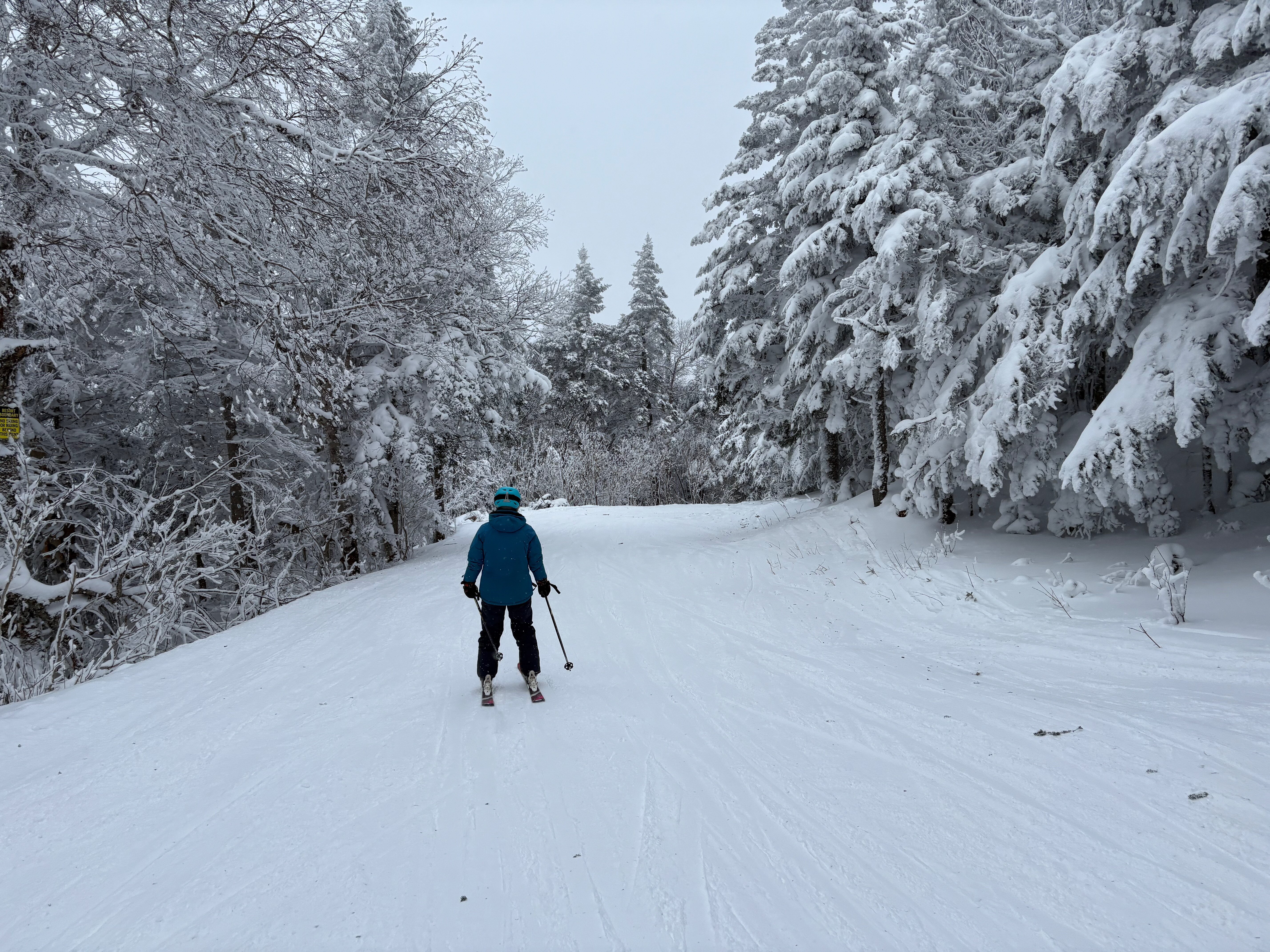 Upper Mountain Road - Trail of the Day