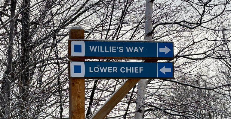 Willies Way Trail Sign